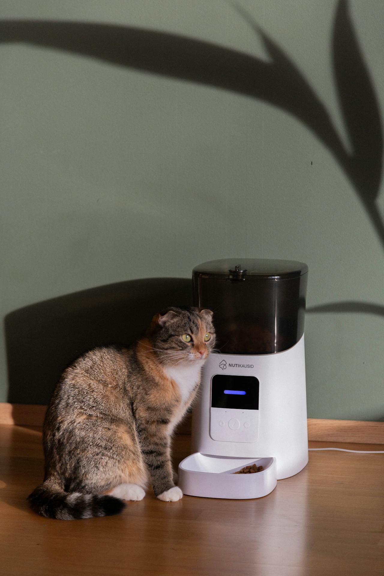 Automatic Pet Feeder