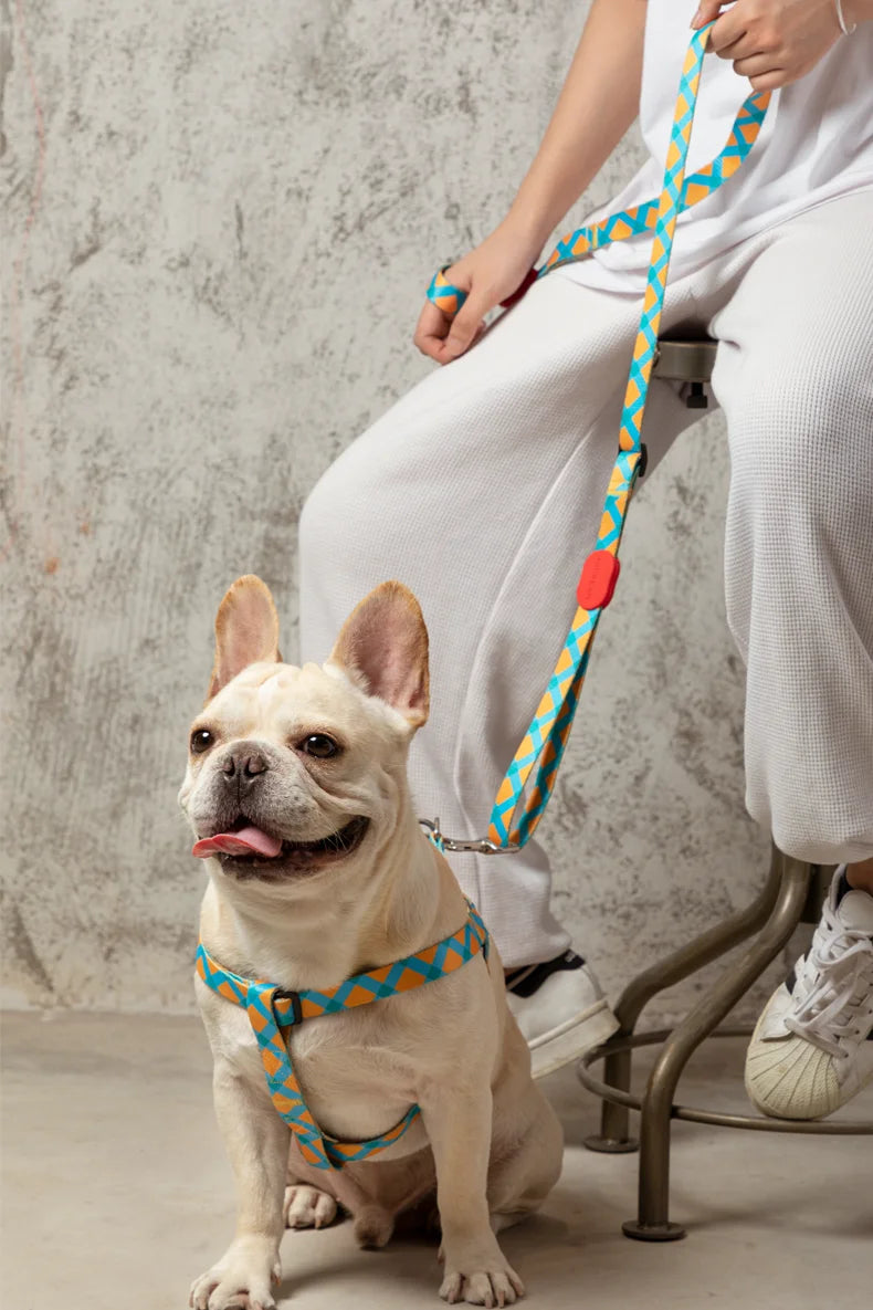 HiDream OPULENT Series Lite and Tough Dog Hands-free Leash