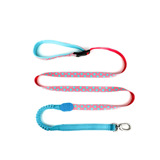 HiDream OPULENT Series Hands-Free Bungee Dog Leash