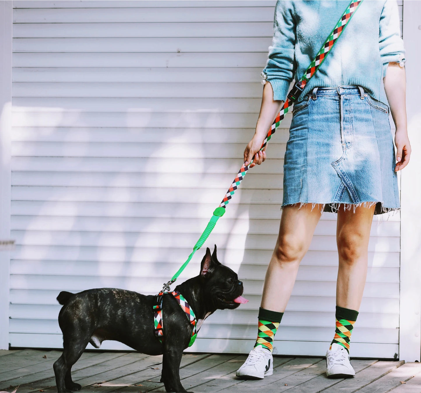 HiDream OPULENT Series Hands-Free Bungee Dog Leash