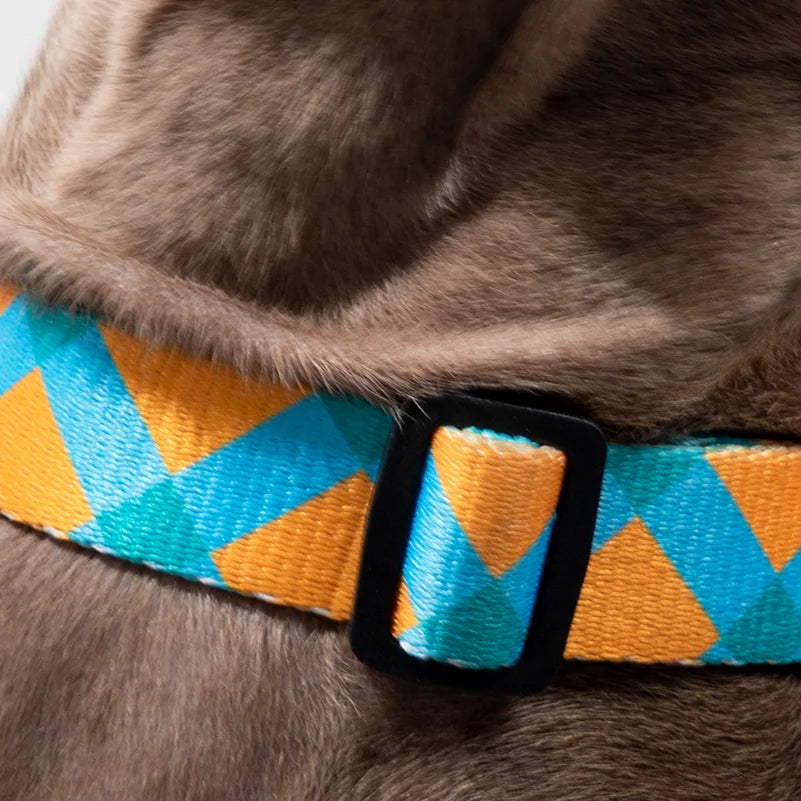 HiDream OPULENT Series Martingale Dog Collar Limited-Cinch